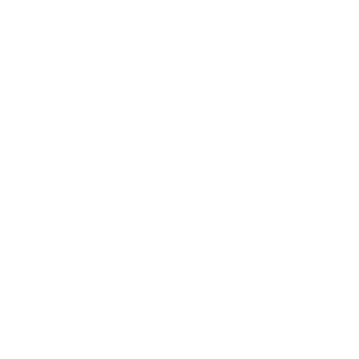 Outpatient Program (OP)